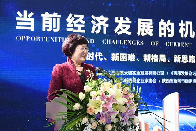 陕西省决策咨询委委员、陕西中国西部发展研究中心副理事长薛晓燕