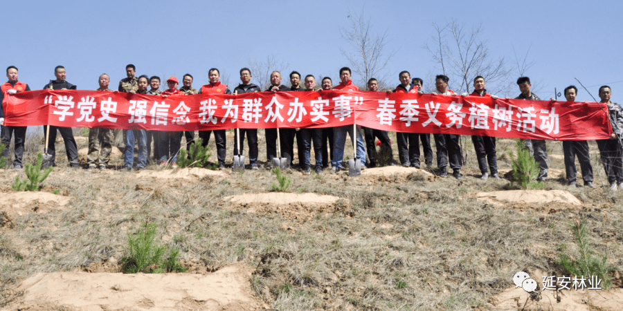 500亩，5万株，志丹县这样迎接全民义务植树运动40周年